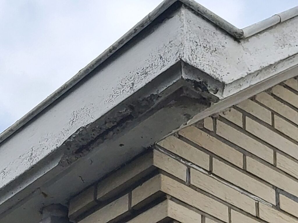 schade beton aalst